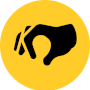 Organization Result Oriented Decisions